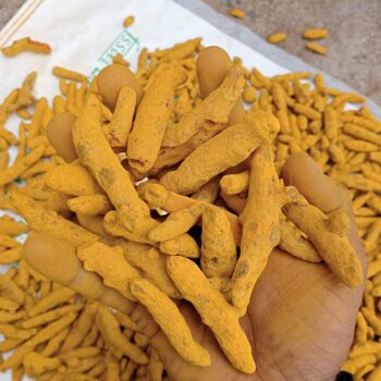 Turmeric Finger 4