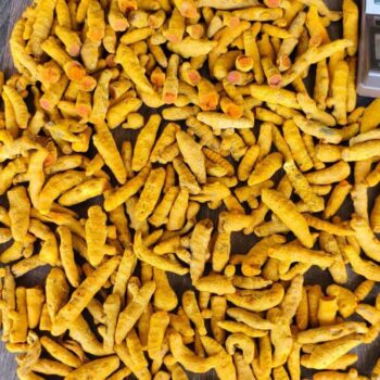 Turmeric Finger 6