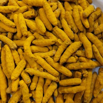 Turmeric Finger 5