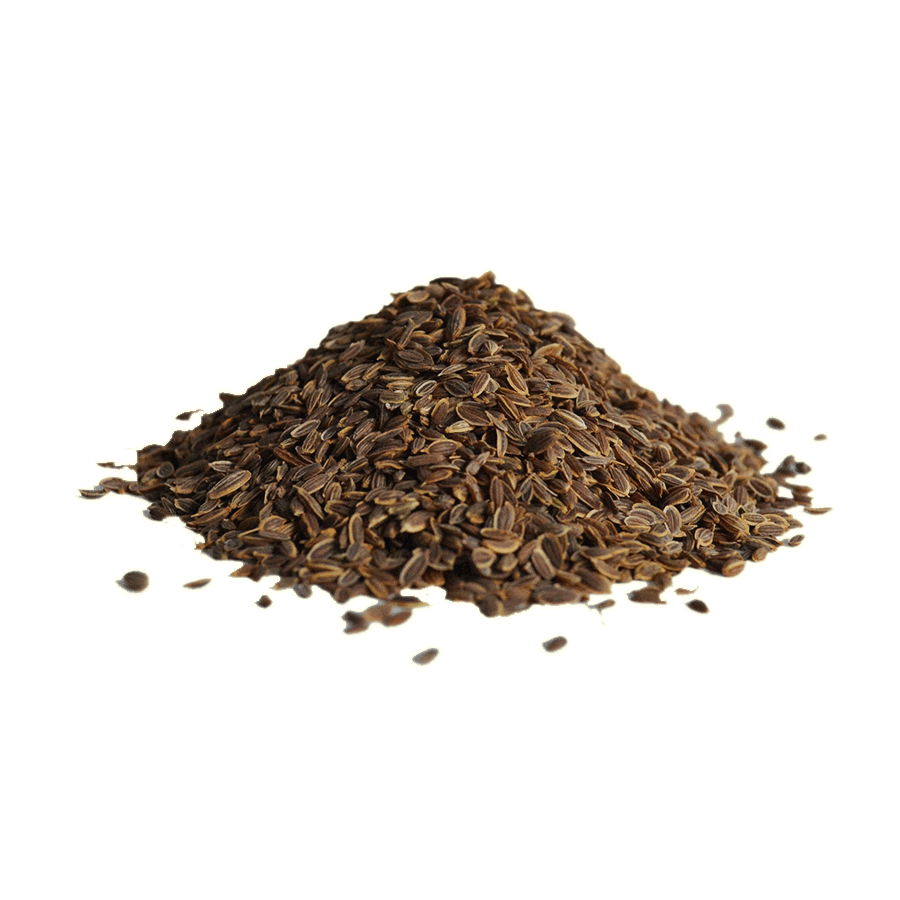 Dill Seeds 2 Dill Seeds - Zest n Zing