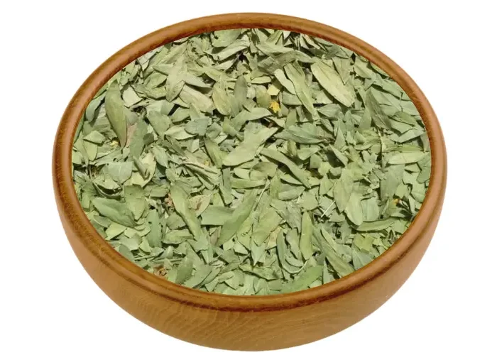 Senna-Leaves-1