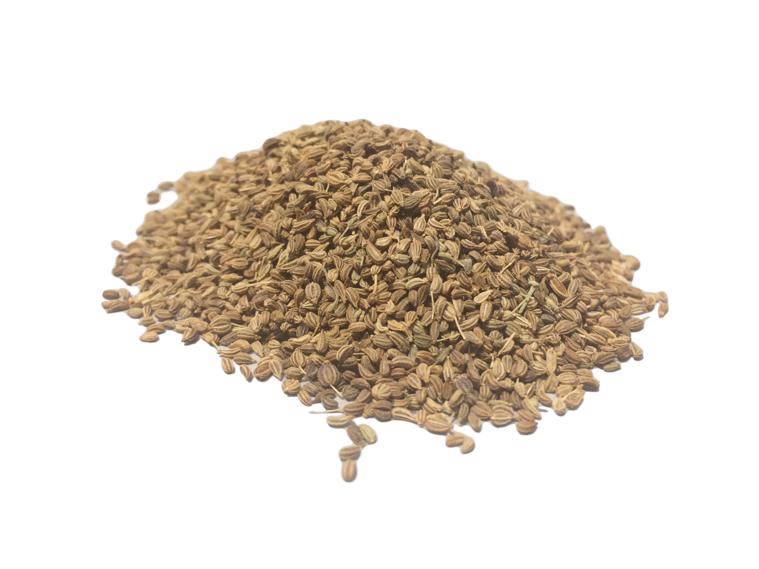 Ajwain (Carom Seeds) - Zest n Zing