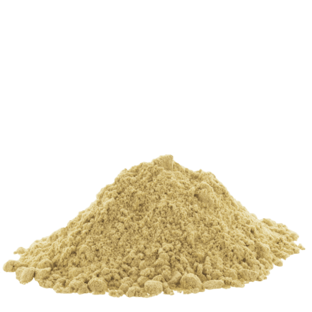 ginger powder 2